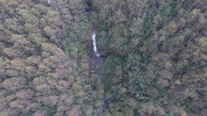 Drones shots: Erskine Falls, Lorne